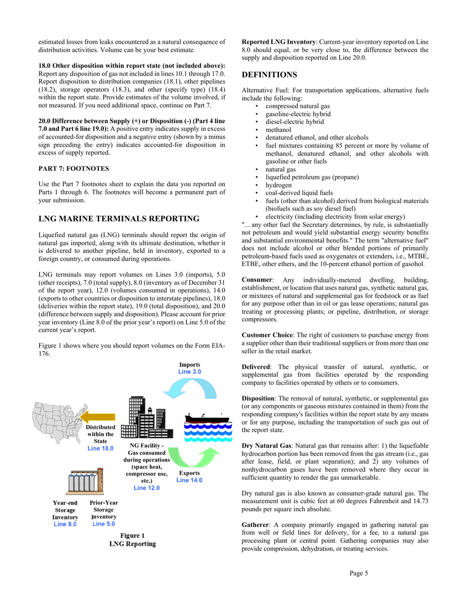 Instructions for Form EIA-176 Annual Report of Natural and Supplemental Gas Supply and Disposition, Page 5