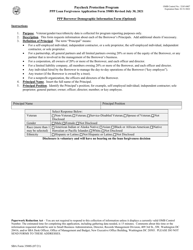 SBA Form 3508S PPP Loan Forgiveness Application Form, Page 2