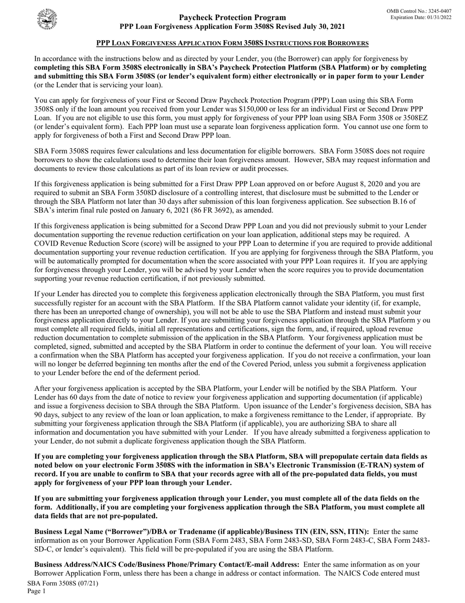 SBA Form 3508S PPP Loan Forgiveness Application Form, Page 3