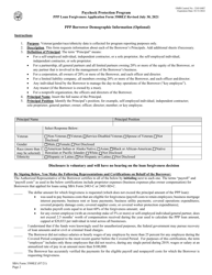 SBA Form 3508EZ PPP Ez Loan Forgiveness Application, Page 2
