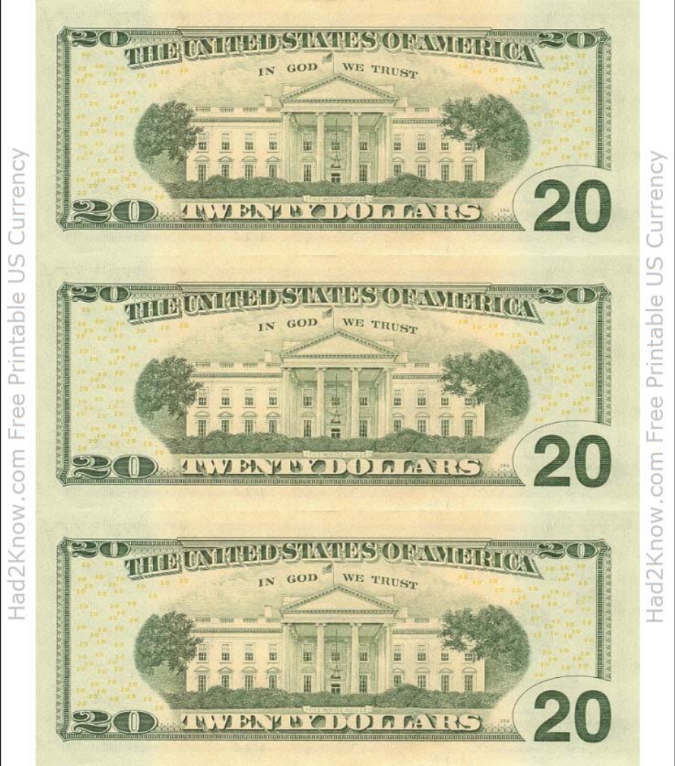 Back view template of a twenty dollar bill