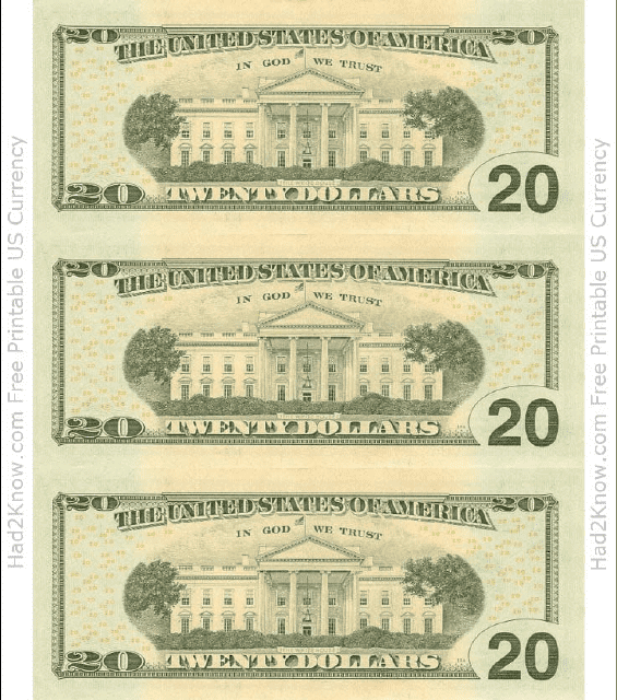 Back view template of a twenty dollar bill