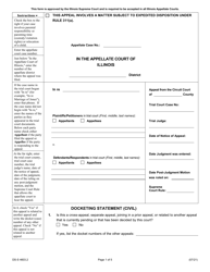 Form DS-S4603.2 Docketing Statement (Civil) - Illinois