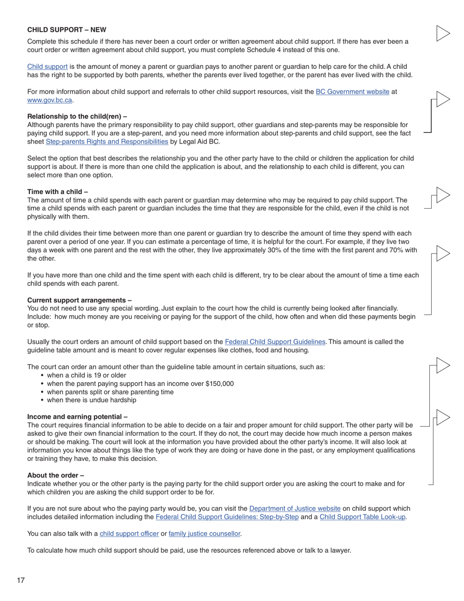 Form 3 (PFA712) Application About a Family Law Matter - British Columbia, Canada, Page 17