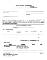 Document preview: Affidavit 2 Affidavit of Property and Debt - Ohio