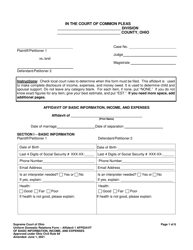 Document preview: Affidavit 1 Affidavit of Basic Information, Income, and Expenses - Ohio
