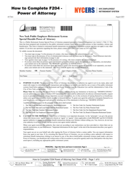 Document preview: Instructions for Form F204 Special Durable Power of Attorney - New York City