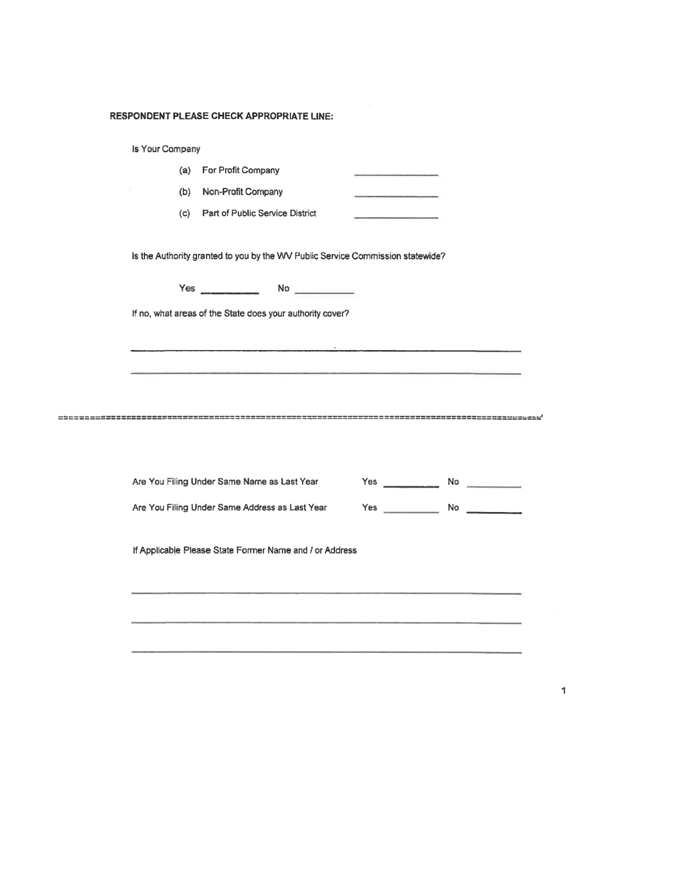 Board of Public Works Annual Report: Bus - Limo - West Virginia, Page 4