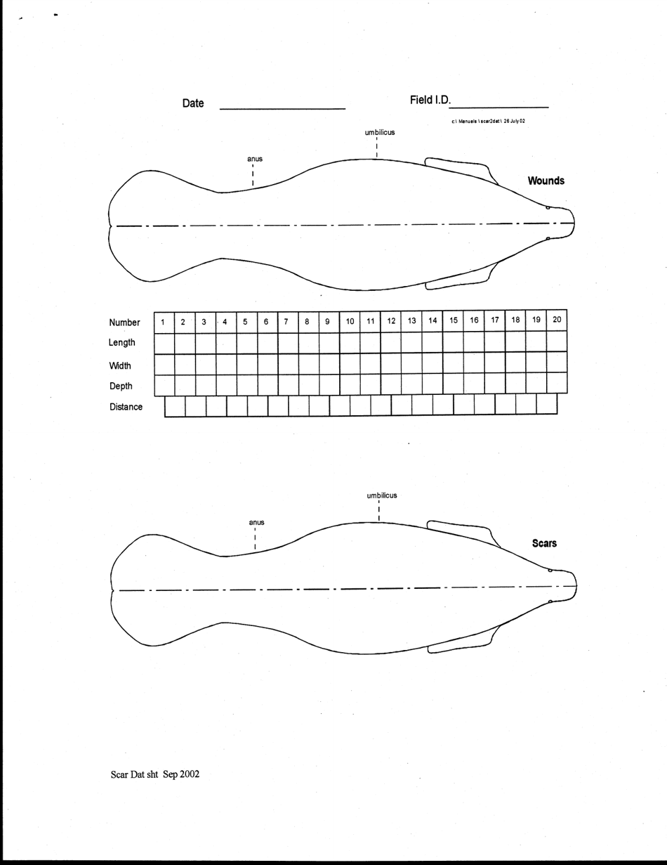 Manatee Sighting Report for Outside of Florida - Florida, Page 3