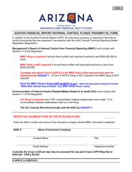 Document preview: Form E-AFR.IC Audited Financial Report Internal Control Filings Transmittal Form - Arizona