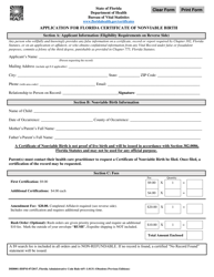 Document preview: Form DH8001-HSPM Application for Florida Certificate of Nonviable Birth - Florida