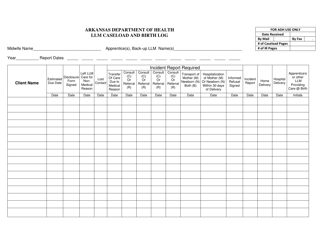 Document preview: Llm Caseload and Birth Log - Arkansas