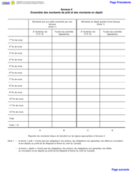 Forme 11PT15-30900 Declaration De La Taxe Sur Le Capital DES Corporations Financieres - Prince Edward Island, Canada (French), Page 4