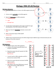 Biology (Dna) Worksheet With Answer Key - Cobb County School District