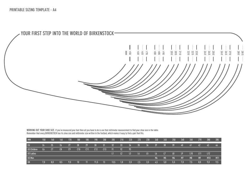 Birkenstock Shoe Size Chart Download Printable PDF Templateroller 