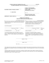 Document preview: Affidavit of Service - Pennsylvania (English/Polish)