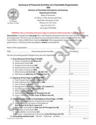Document preview: Form SS-6002 Summary of Financial Activities of a Charitable Organization 990 - Sample - Tennessee