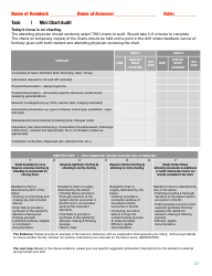 Document preview: Mini Chart Audit Template