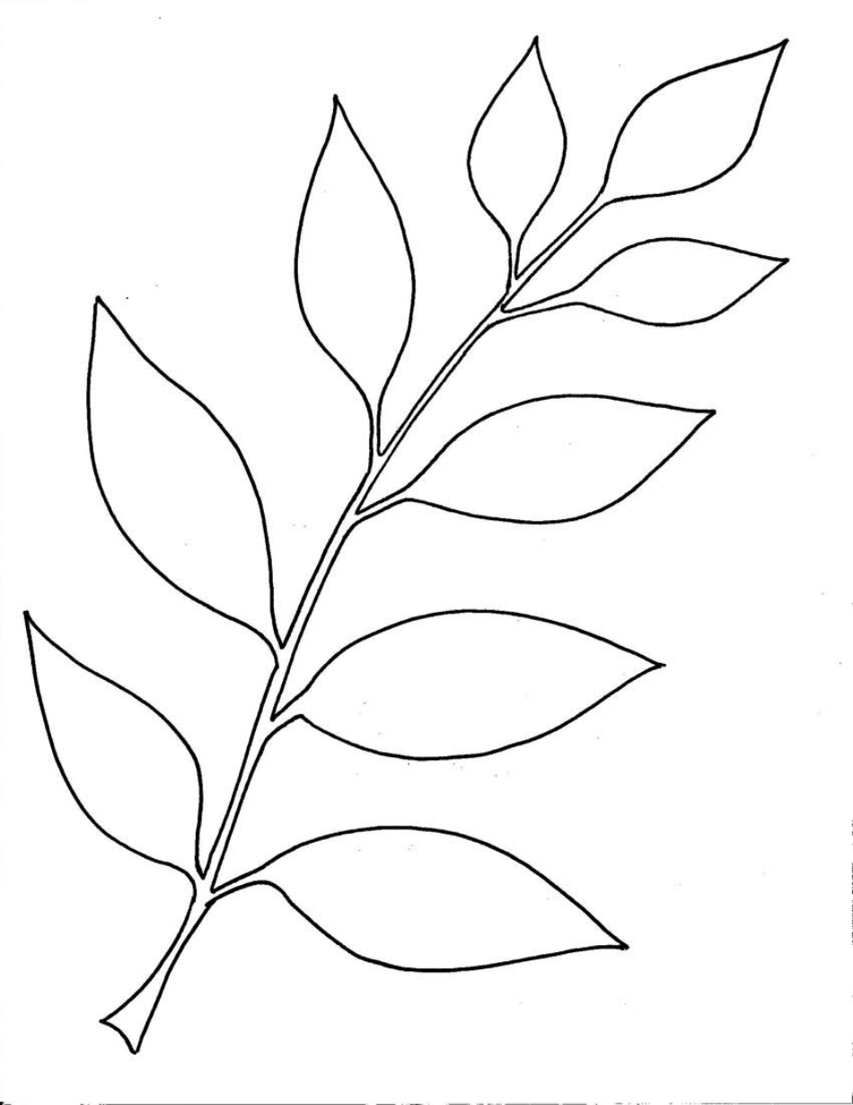 Leaf Templates Big Download Printable PDF Templateroller