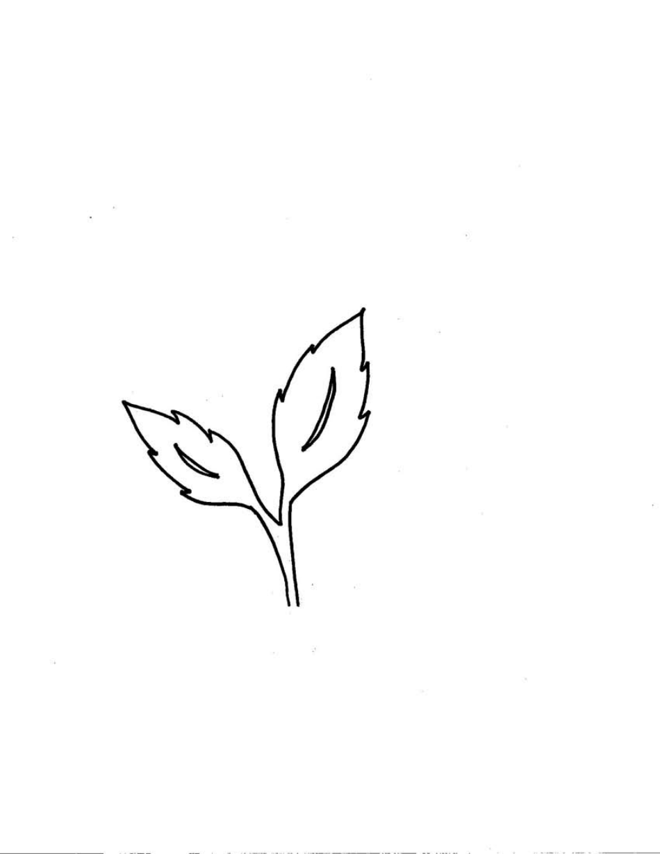 Leaf Templates - Big, Page 3