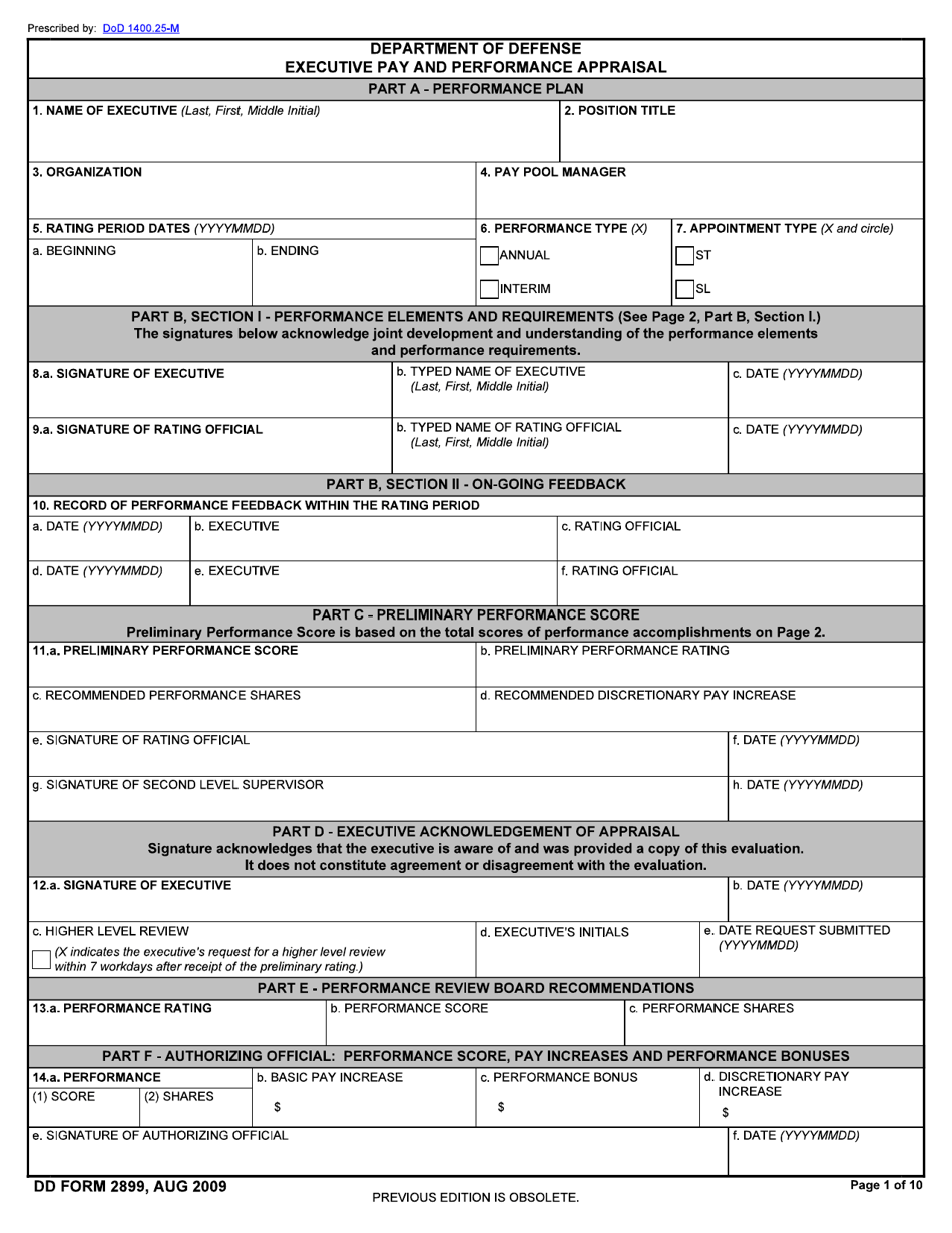 DD Form 2899 Executive Pay and Performance Appraisal, Page 1