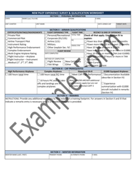 Document preview: New Pilot Experience Survey & Qualification Worksheet - Example