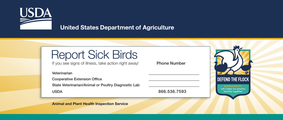 Report Sick Birds Card, Page 1
