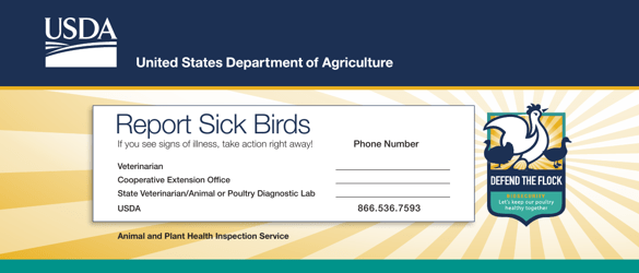 Document preview: Report Sick Birds Card