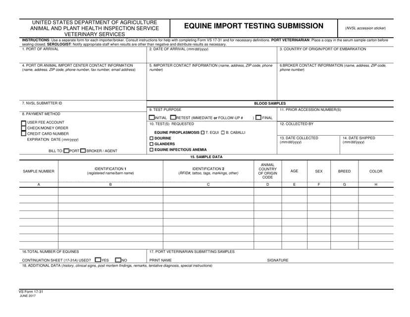 VS Form 17-31  Printable Pdf