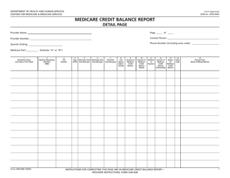 Form CMS-838 Medicare Credit Balance Report, Page 2