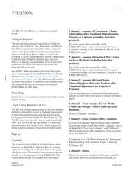 Instructions for Form FFIEC009A Country Exposure Information Report, Page 4