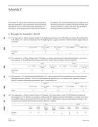 Instructions for Form FFIEC009 Country Exposure Report, Page 20