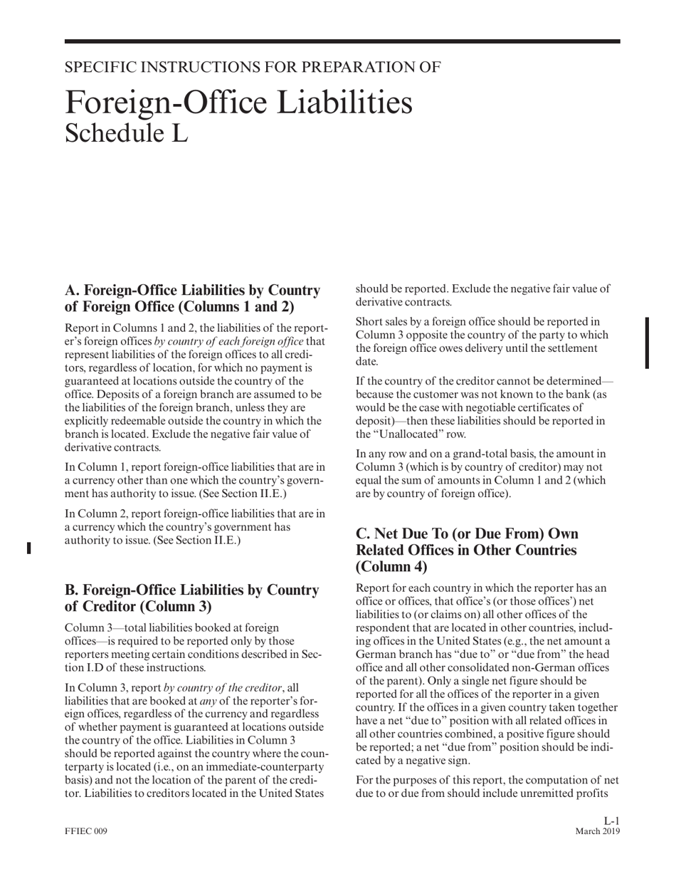 Instructions for Form FFIEC009 Country Exposure Report, Page 27