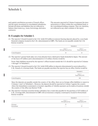 Instructions for Form FFIEC009 Country Exposure Report, Page 28