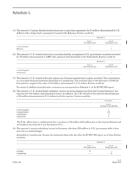 Instructions for Form FFIEC009 Country Exposure Report, Page 29