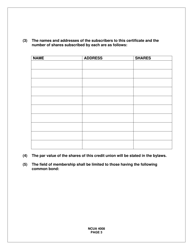 NCUA Form 4008 Organization Certificate, Page 3