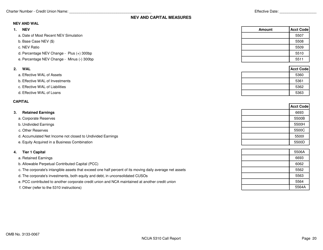 NCUA Form 5310 Corporate Credit Union Call Report Form, Page 21