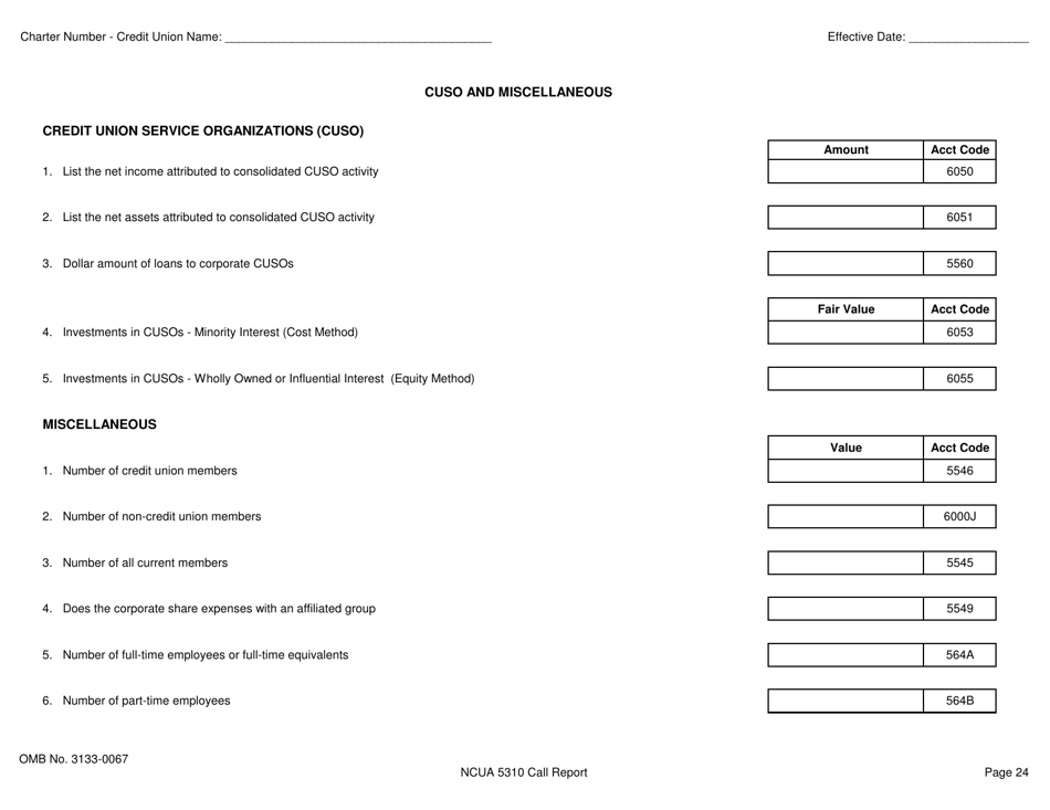 NCUA Form 5310 Corporate Credit Union Call Report Form, Page 25