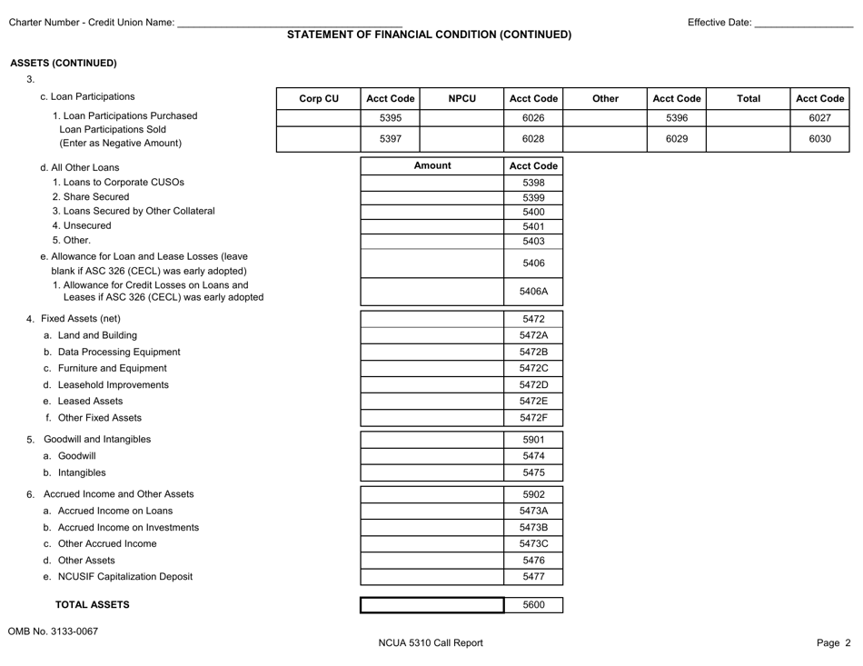 NCUA Form 5310 Corporate Credit Union Call Report Form, Page 3