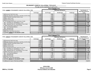Form 5300 Call Report, Page 11