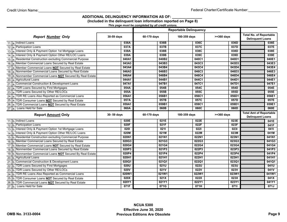 Form 5300 Call Report, Page 12