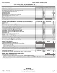 Form 5300 Call Report, Page 13