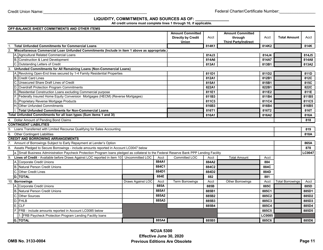 Form 5300 Call Report, Page 14