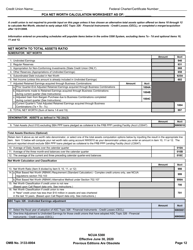 Form 5300 Call Report, Page 15