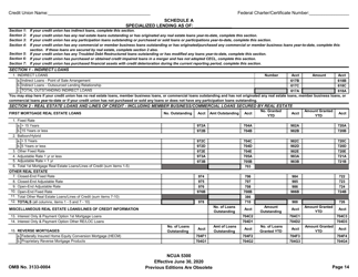 Form 5300 Call Report, Page 17
