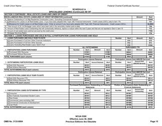 Form 5300 Call Report, Page 18