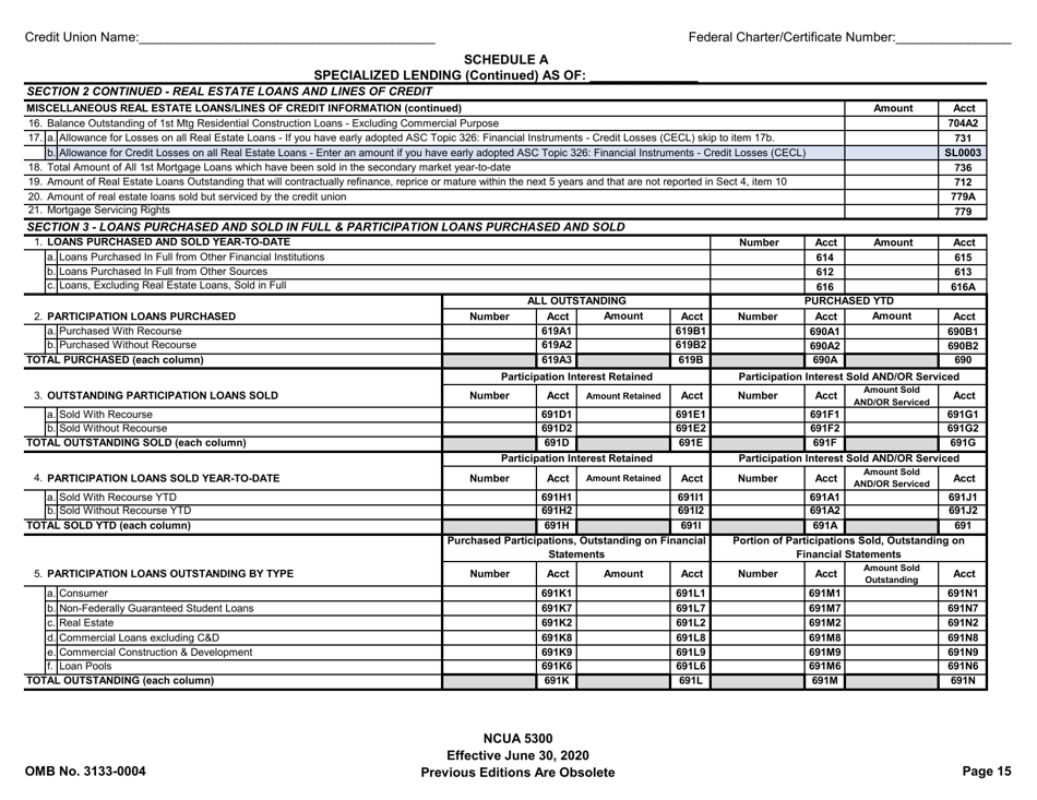 Form 5300 Call Report, Page 18