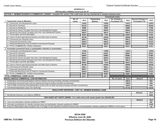 Form 5300 Call Report, Page 19
