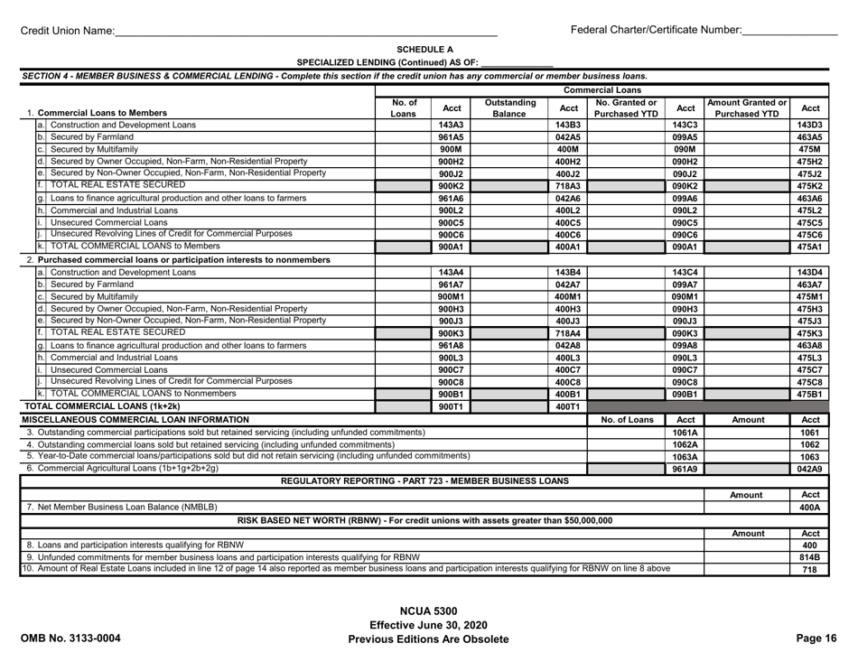 Form 5300 Call Report, Page 19