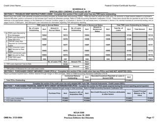 Form 5300 Call Report, Page 20